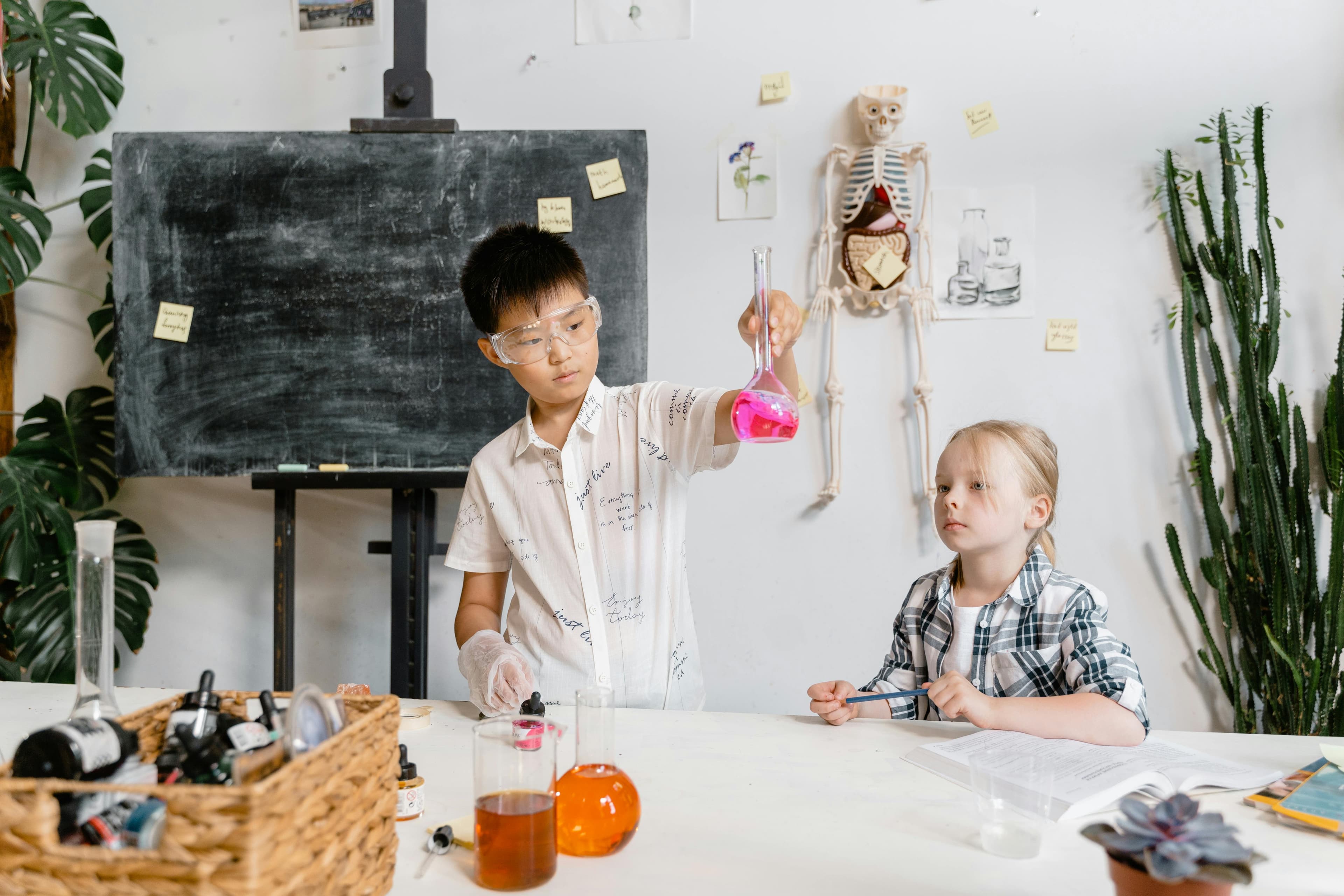 Vido students learning